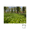 Thumbnail of related posts 165
