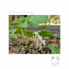 Thumbnail of related posts 118