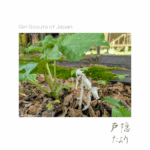 Thumbnail of post image 080