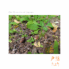 Thumbnail of related posts 049