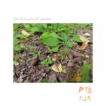 Thumbnail of post image 057