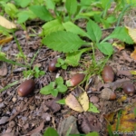 s_2025.0924 tgc04