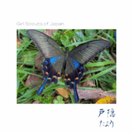 Thumbnail of post image 102