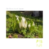 Thumbnail of related posts 148
