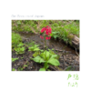 Thumbnail of related posts 155