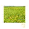 Thumbnail of related posts 061