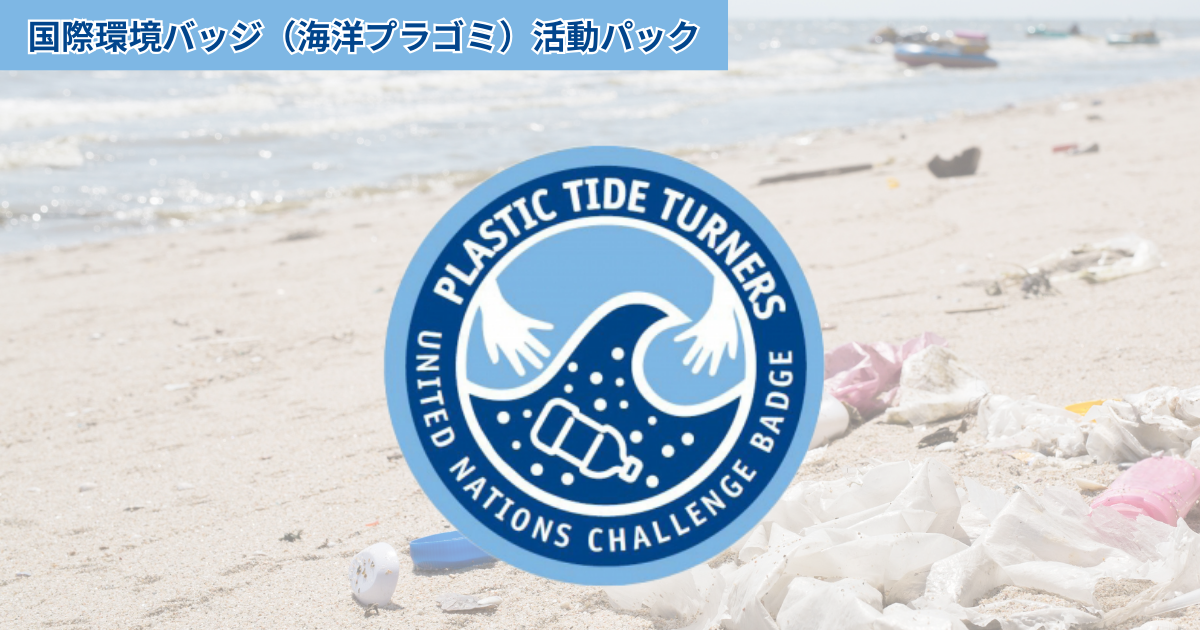 日満議定　青年訓練所　バッジ ピンバッジ制作実例：公益社団法人日本視能訓練士協会 | オリジナル